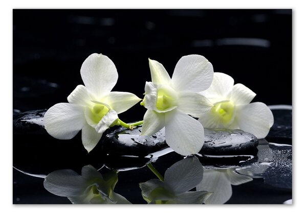 Akrilkép Orchidea