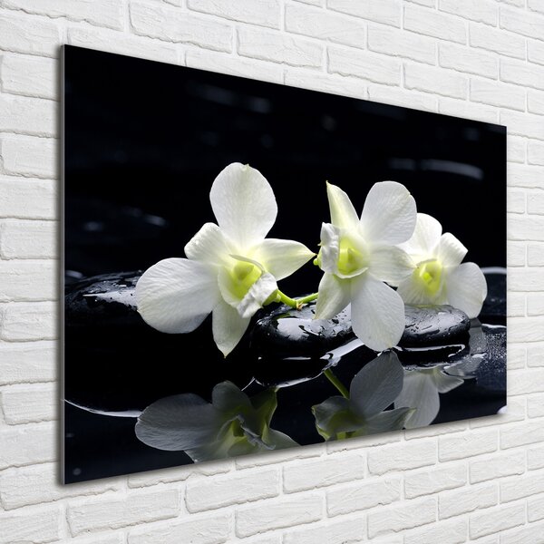 Akrilkép Orchidea