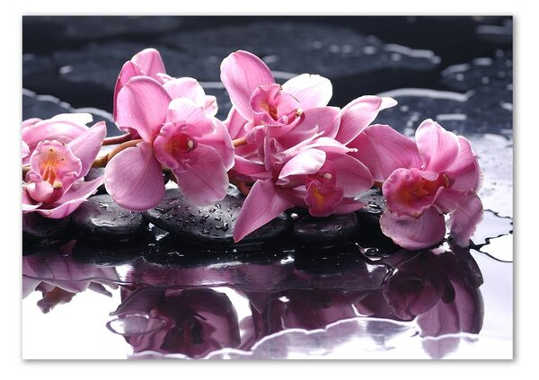 Akrilkép Rózsaszín orchidea