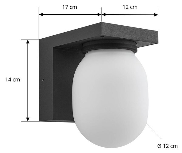 Lucande Ovaali kültéri fali lámpa, üveg, sötét szürke, IP65, dimmelhető, Fekete, Alumínium, Modern