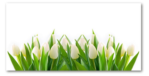 Akrilkép Fehér tulipán