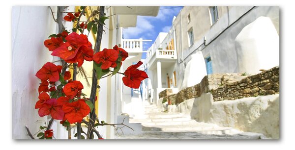 Akrilüveg fotó Mykonos görögország