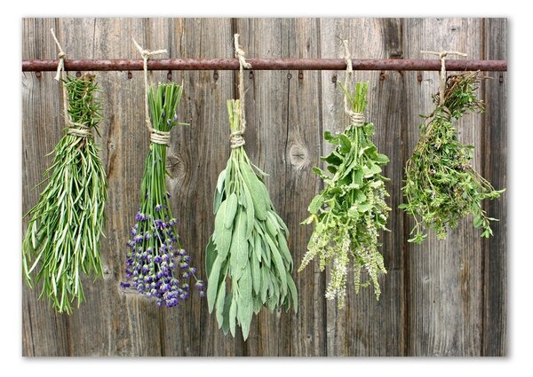 Akril üveg kép Herbs egy húr