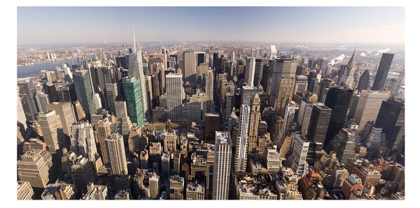 Akrilüveg fotó New york-i járat madár