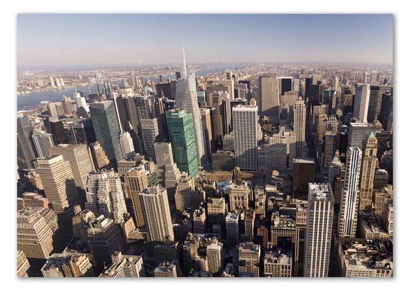 Akrilüveg fotó New york-i járat madár