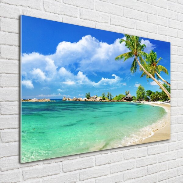 Üvegfotó Seychelles strand