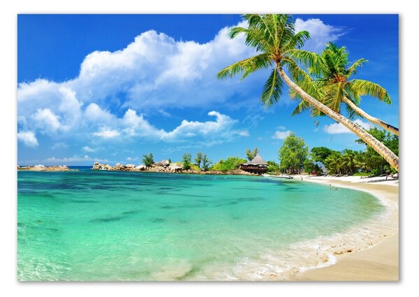 Üvegfotó Seychelles strand