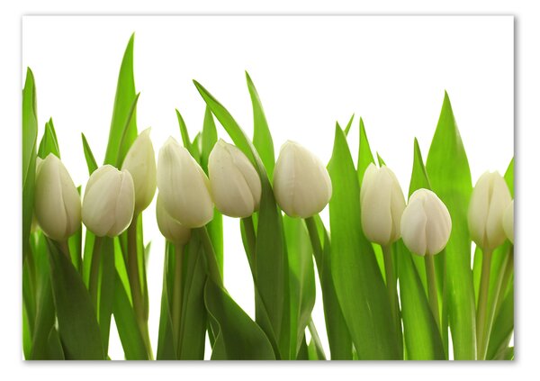 Egyedi üvegkép Fehér tulipán