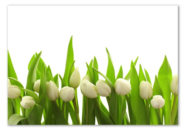 Egyedi üvegkép Fehér tulipán