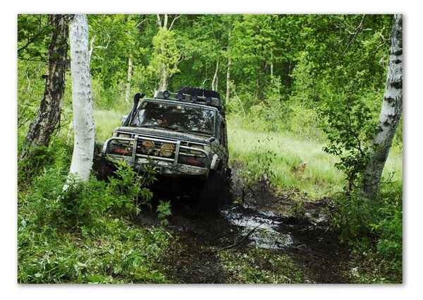 Akrilüveg fotó Jeep erdőben