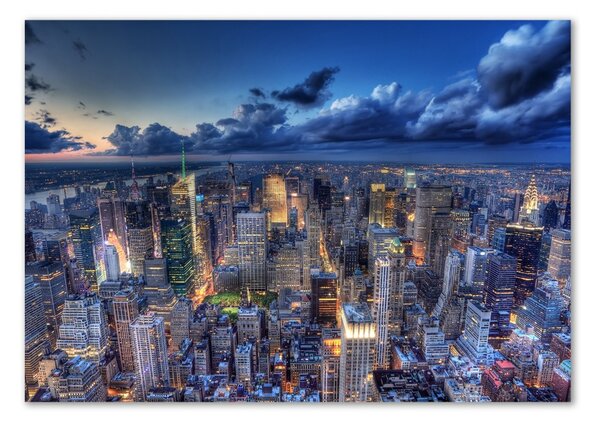 Akrilüveg fotó New york-i járat madár