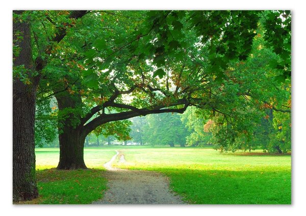 Akrilkép Park ősszel