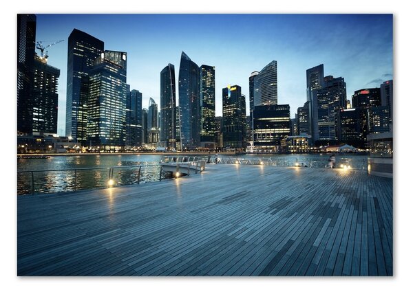 Akrilüveg fotó Singapore éjjel