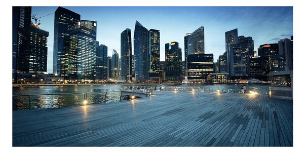 Akrilüveg fotó Singapore éjjel
