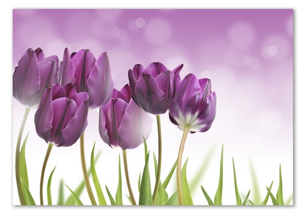 Akrilkép Filé tulipán