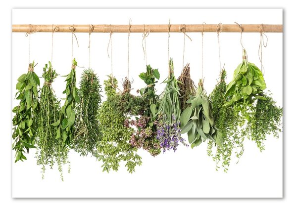 Akril üveg kép Herbs egy húr