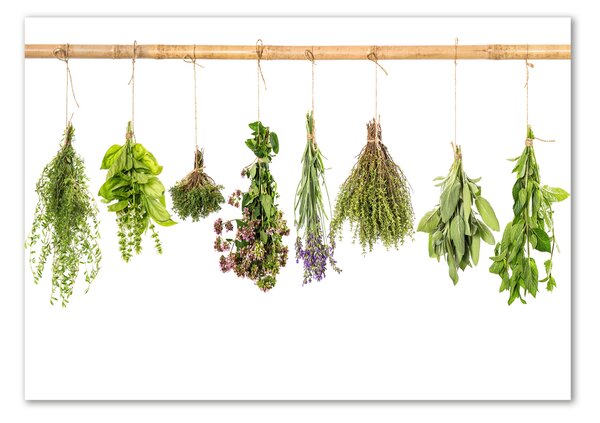 Fali üvegkép Herbs egy húr