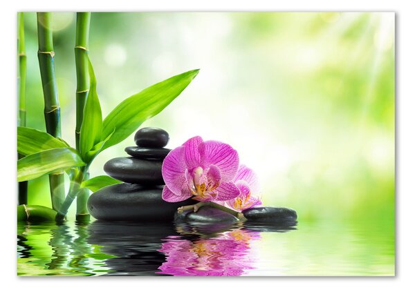 Egyedi üvegkép Orchidea