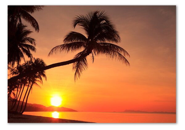 Akril üveg kép Sunset beach