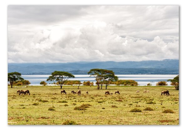 Üvegfotó Lake naivasha