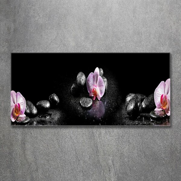 Akrilkép Orchidea