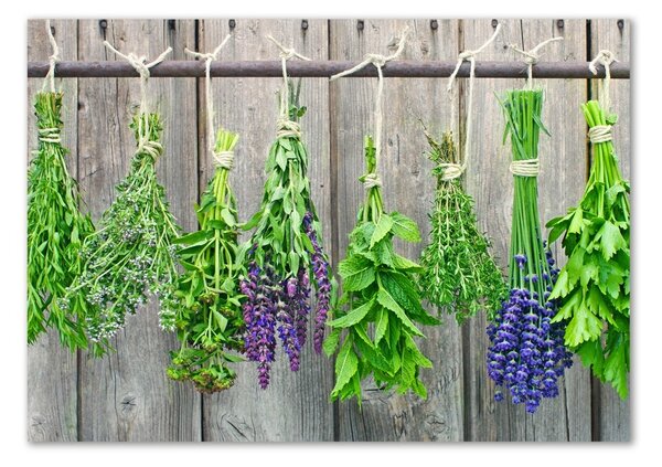 Akril üveg kép Herbs egy húr