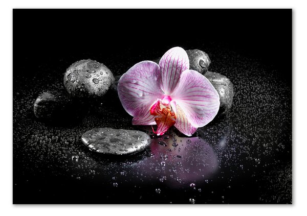 Akrilkép Orchidea