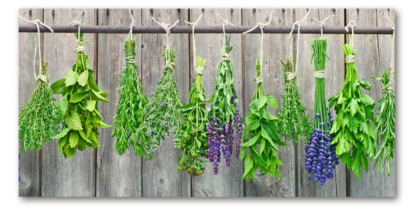Akril üveg kép Herbs egy húr