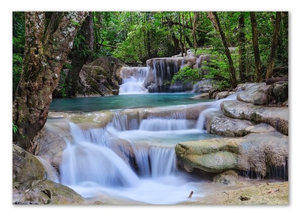 Üvegfotó Cascade az erdőben