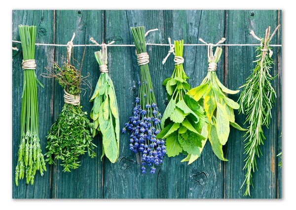 Akril üveg kép Herbs egy húr
