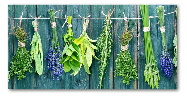 Akril üveg kép Herbs egy húr