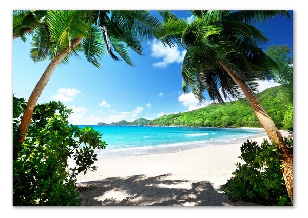 Üvegfotó Seychelles strand