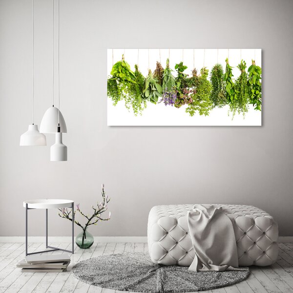 Akril üveg kép Herbs egy húr
