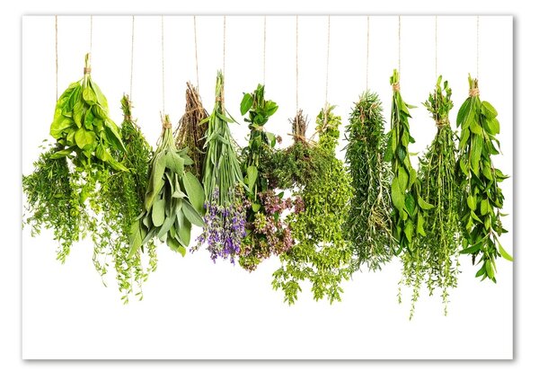 Akril üveg kép Herbs egy húr