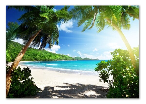 Üvegfotó Seychelles strand