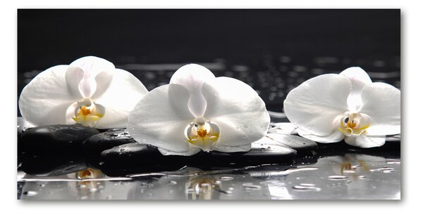 Akrilkép Orchidea