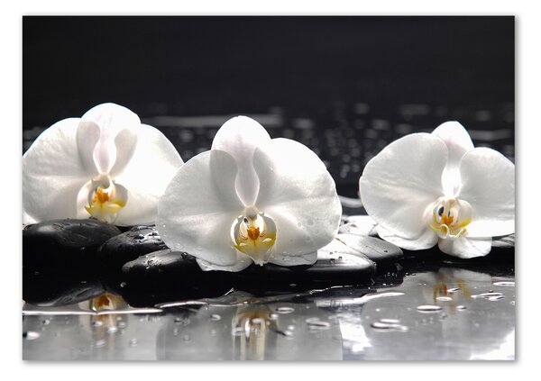 Egyedi üvegkép Orchidea