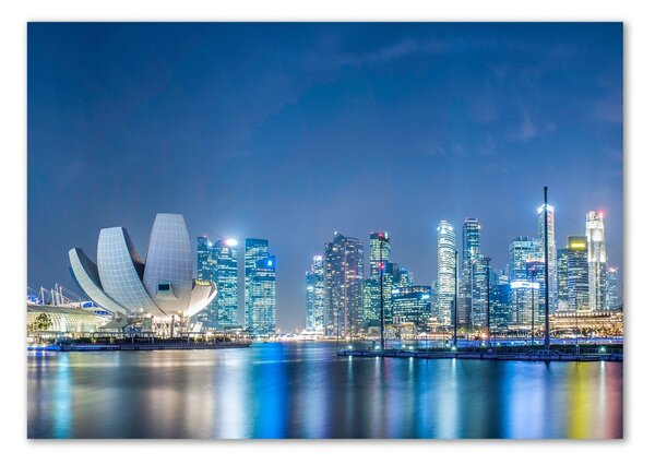 Üvegfotó Singapore éjjel