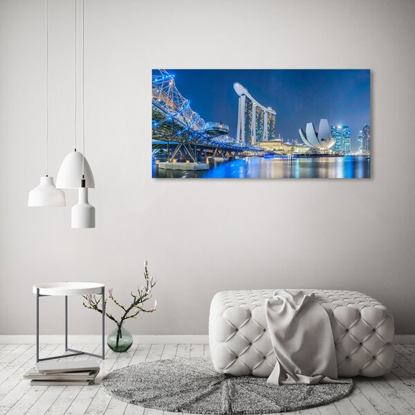 Akril üveg kép Singapore éjjel