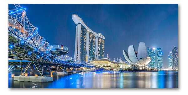 Akril üveg kép Singapore éjjel