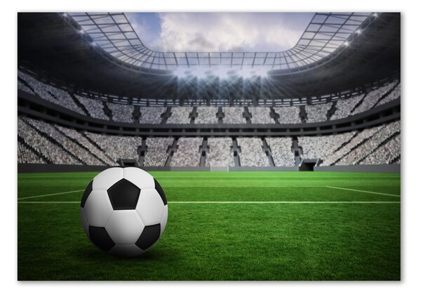 Akrilüveg fotó Foci stadion
