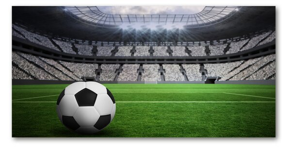 Akrilüveg fotó Foci stadion