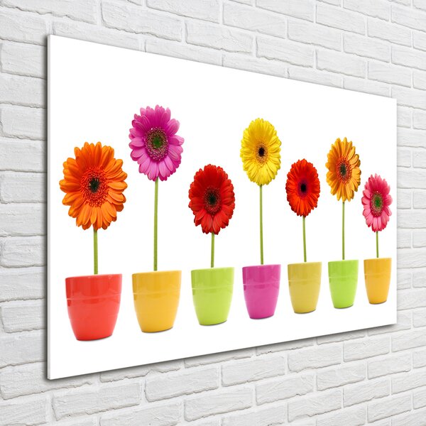 Egyedi üvegkép Színes gerbera