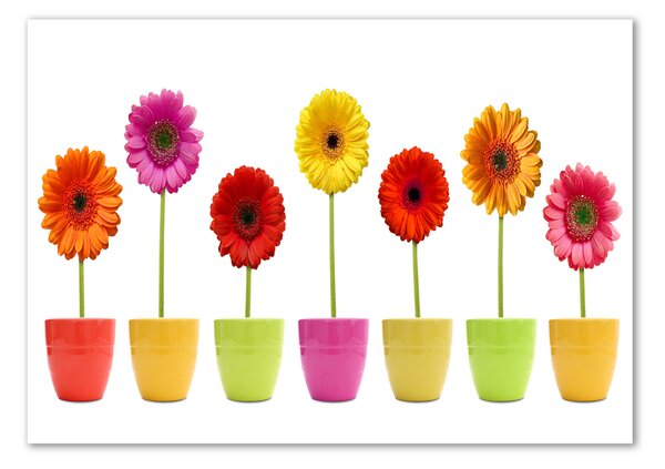 Egyedi üvegkép Színes gerbera
