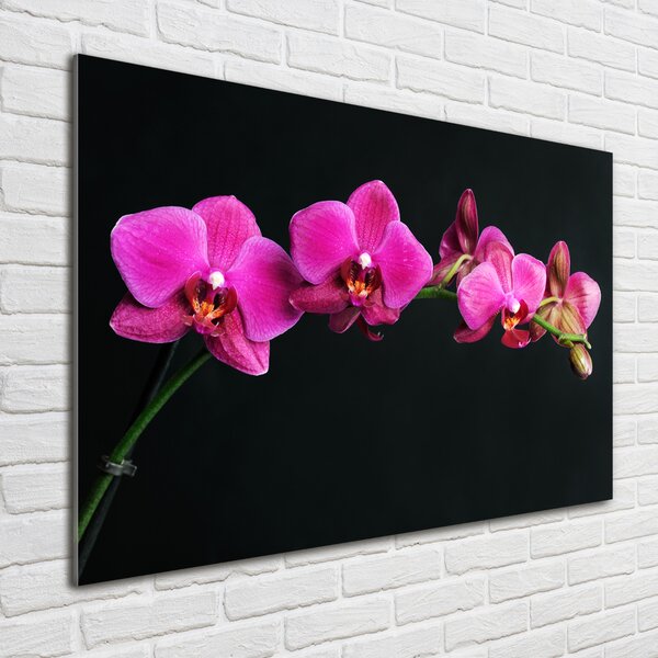 Akrilkép Orchidea