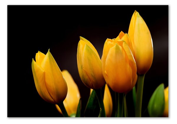 Akrilkép Sárga tulipánok