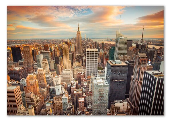 Akril üveg kép New york-i járat madár