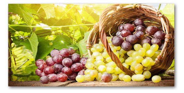 Akril üveg kép Szőlő a kosárban