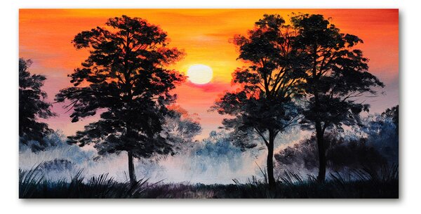 Akril üveg kép Sunset erdő