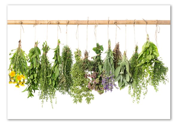 Akril üveg kép Herbs egy húr